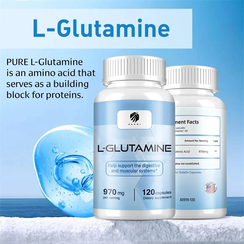 Nutrition Sports Fitness - L-glutaminesupplement voor training Spierherstel Verbetering van