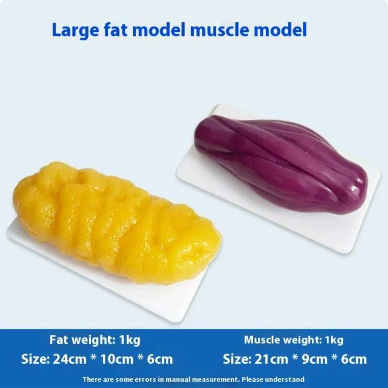 Nutrition For Health Fitness & Sport Melvin Williams - Replica's van menselijke spieren en vet