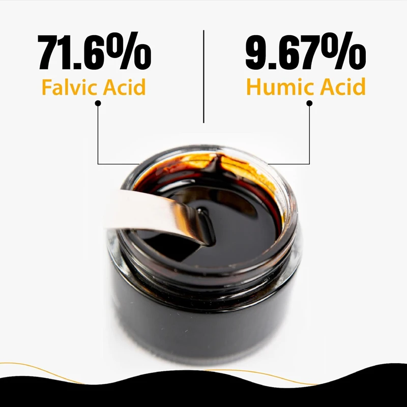 Puur Himalaya Shilajit hars, n - Shilajit Resin Pure recensie en prijs